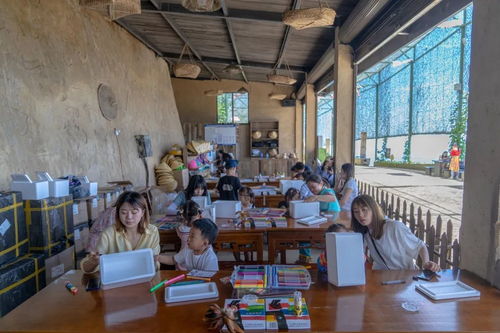 九皇山的云中农场 茄子云下的田园诗